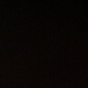 Meet your Posher, Julius